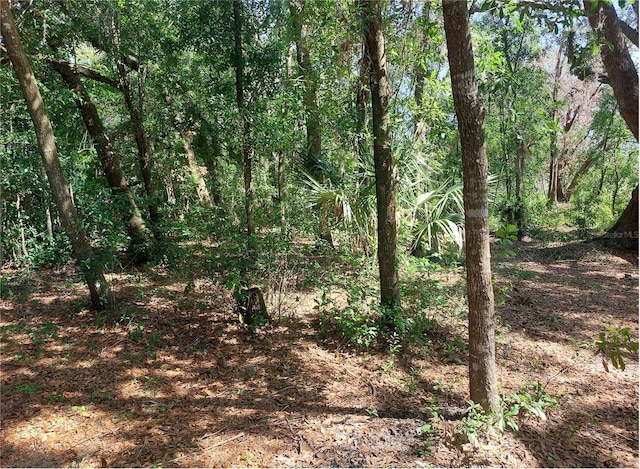 Waldo, Dade City, FL 33525 - photo 9
