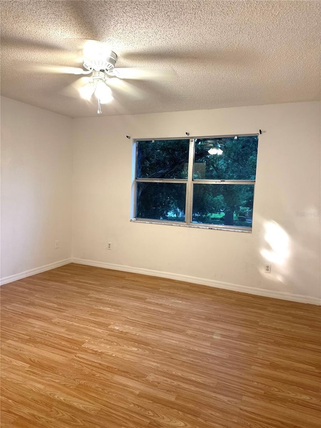 4207 Winding Moss Trl Unit 201, Tampa, FL 33613 - spare room with light wood-type flooring, a ceiling fan, and a textured ceiling