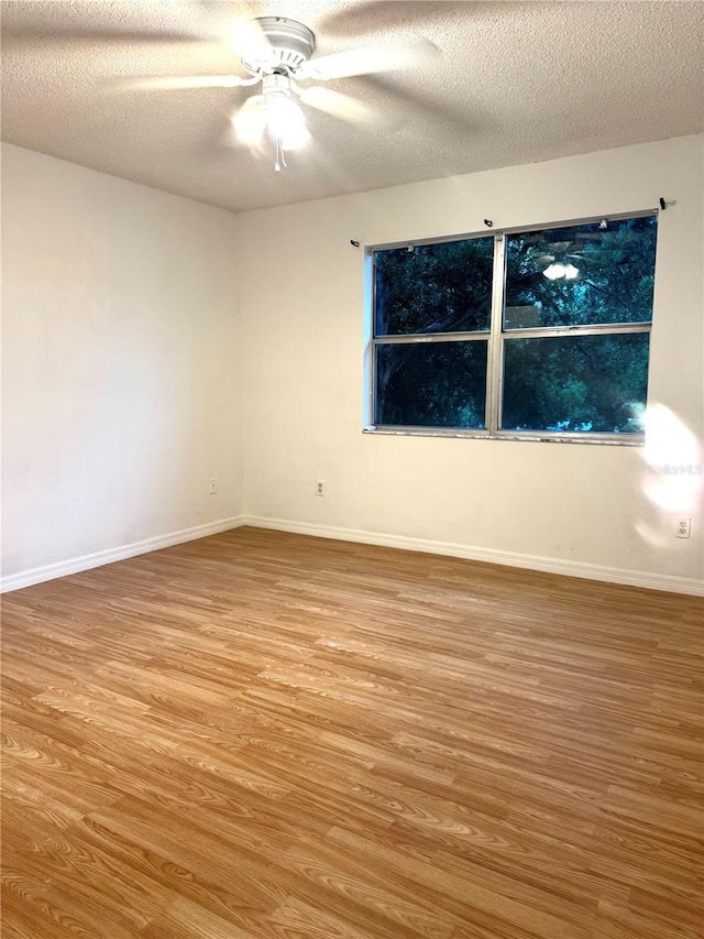4207 Winding Moss Trl Unit 201, Tampa, FL 33613 - empty room with light wood-type flooring, ceiling fan, and a textured ceiling