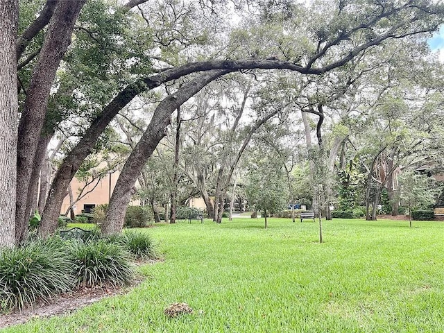 4207 Winding Moss Trl Unit 201, Tampa, FL 33613 - photo 43