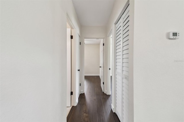 5934 51st Ave N, Kenneth City, FL 33709 - hall featuring dark wood-type flooring and baseboards