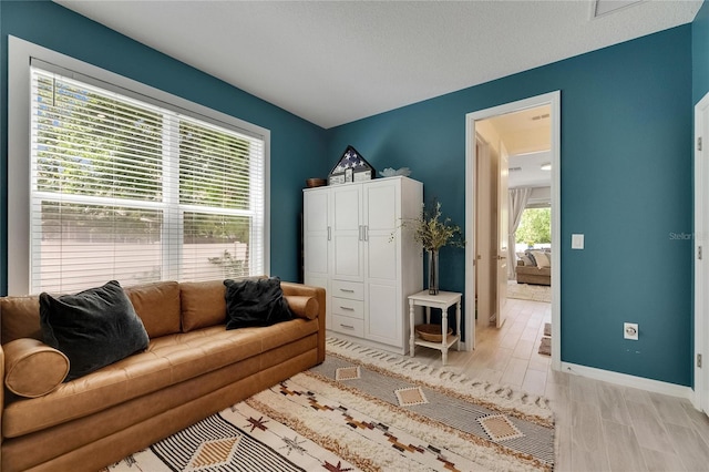 10399 Boyette Brook St, Riverview, FL 33569 - living room with light wood-type flooring and baseboards