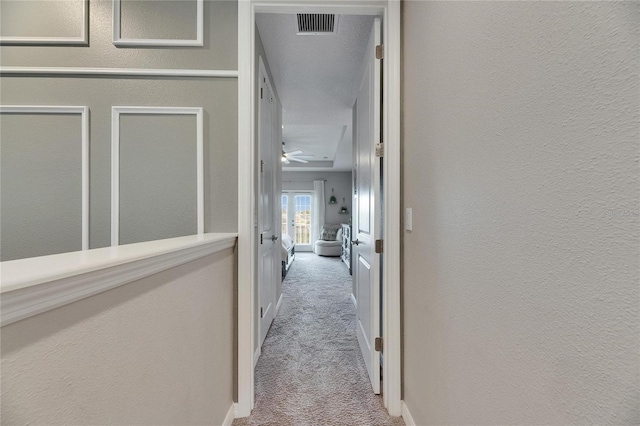 10399 Boyette Brook St, Riverview, FL 33569 - hall with carpet floors