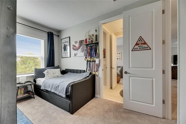 10399 Boyette Brook St, Riverview, FL 33569 - bedroom with carpet and a textured ceiling
