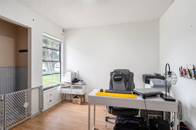 15906 Country Farm Pl, Tampa, FL 33624 - office with light wood-type flooring and a textured ceiling
