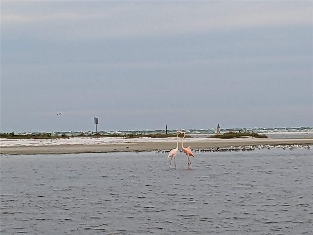 340 Pinellas Bayway S Unit 304, Saint Petersburg, FL 33715 - water view with nearby beach
