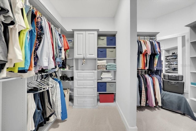 10450 Highland Park Pl, Palmetto, FL 34221 - spacious closet with carpet flooring