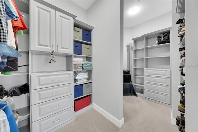 10450 Highland Park Pl, Palmetto, FL 34221 - walk in closet with light carpet