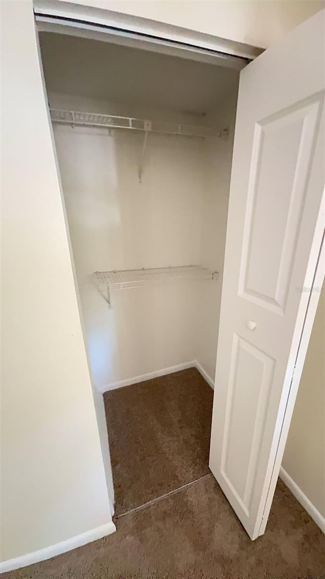 4003 Oak Limb Ct, Tampa, FL 33614 - view of closet