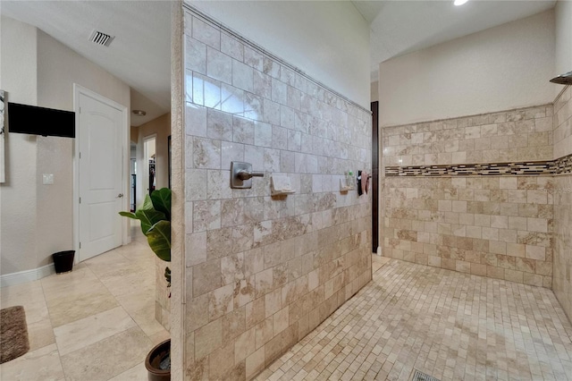13102 Done Groven Dr, Dover, FL 33527 - full bath with walk in shower