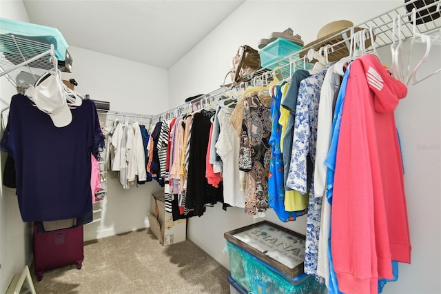 10282 Echo Dock Loop, San Antonio, FL 33576 - spacious closet featuring carpet floors