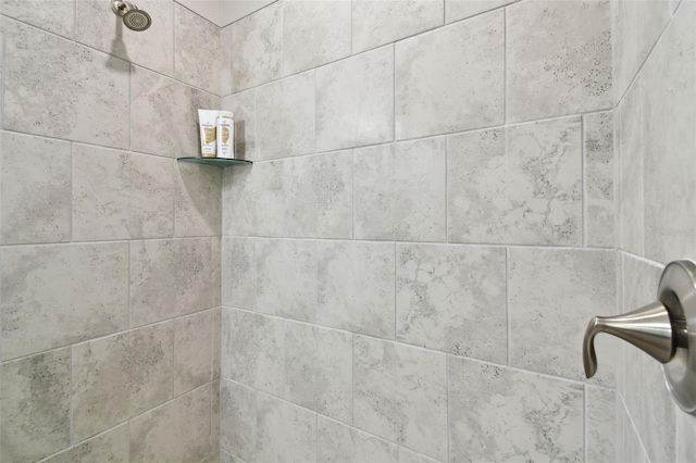 10282 Echo Dock Loop, San Antonio, FL 33576 - bathroom view of tiled shower