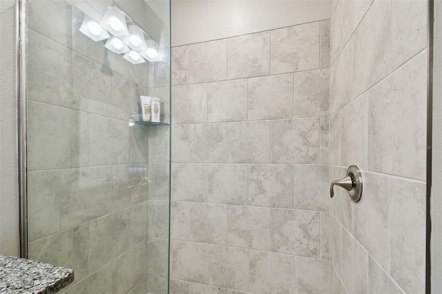 10282 Echo Dock Loop, San Antonio, FL 33576 - bathroom with a tile shower