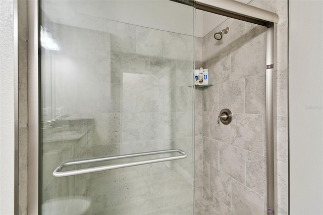10282 Echo Dock Loop, San Antonio, FL 33576 - full bath featuring a stall shower