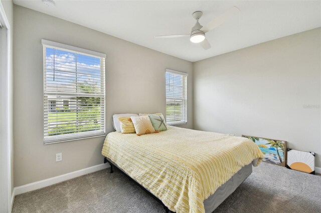 10282 Echo Dock Loop, San Antonio, FL 33576 - carpeted bedroom with baseboards and a ceiling fan