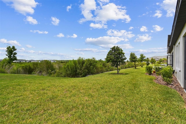 10282 Echo Dock Loop, San Antonio, FL 33576 - view of grassy yard