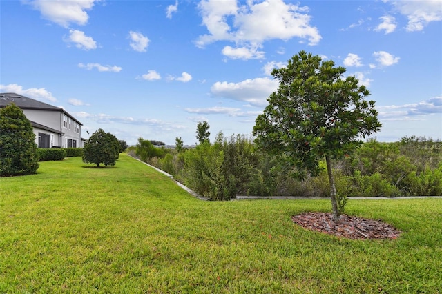 10282 Echo Dock Loop, San Antonio, FL 33576 - view of grassy yard