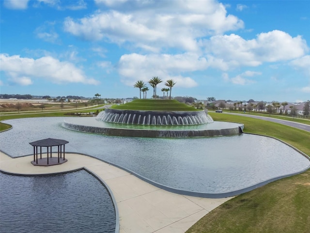 10282 Echo Dock Loop, San Antonio, FL 33576 - view of community featuring a yard