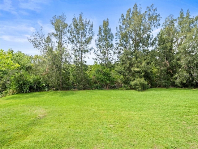12603 Corral Rd, Tampa, FL 33626 - photo 46