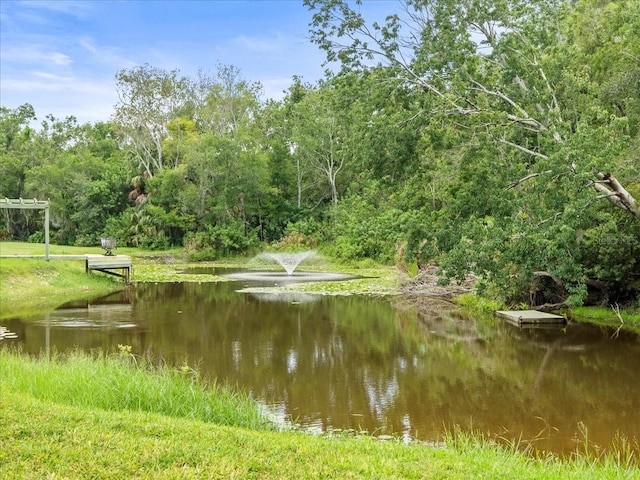 12603 Corral Rd, Tampa, FL 33626 - photo 49