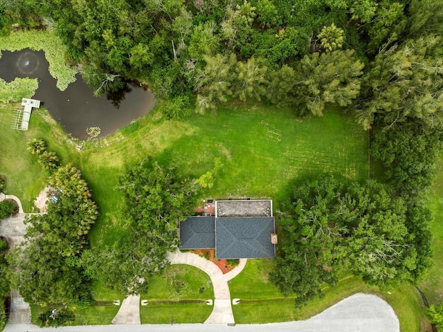 12603 Corral Rd, Tampa, FL 33626 - photo 65