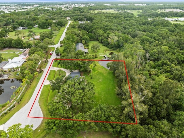 12603 Corral Rd, Tampa, FL 33626 - photo 66