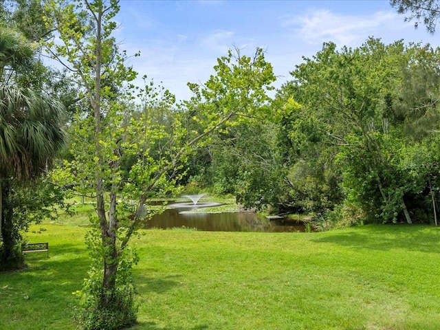 12603 Corral Rd, Tampa, FL 33626 - photo 6