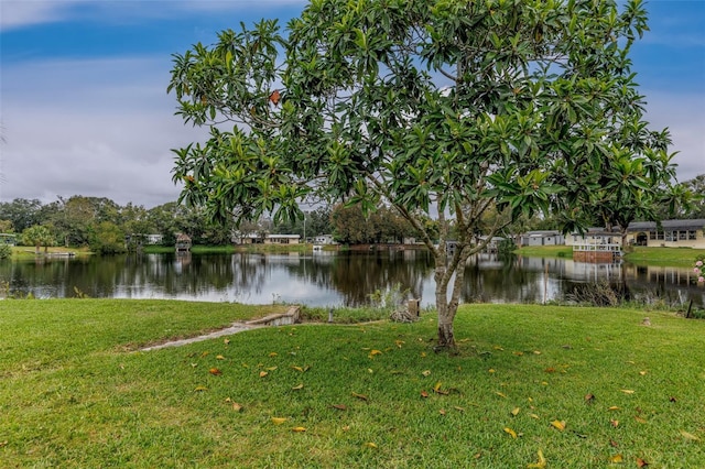 10115 E Perch Ct, Inverness, FL 34450 - photo 38