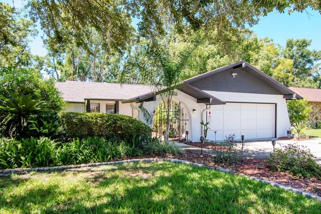 23924 Forest Pl, Land O Lakes, FL 34639 - photo 1