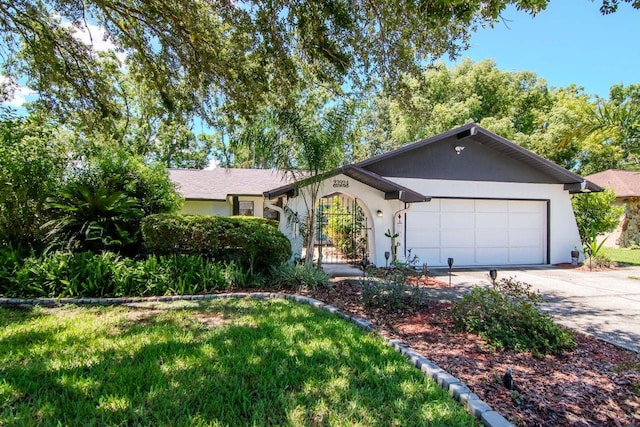 23924 Forest Pl, Land O Lakes, FL 34639 - photo 3