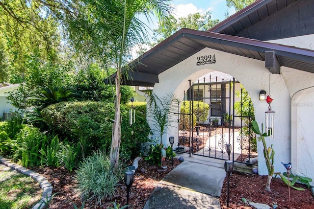 23924 Forest Pl, Land O Lakes, FL 34639 - photo 4
