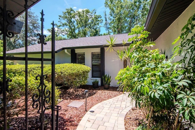 23924 Forest Pl, Land O Lakes, FL 34639 - photo 5