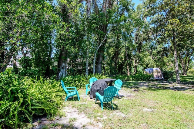 23924 Forest Pl, Land O Lakes, FL 34639 - photo 40