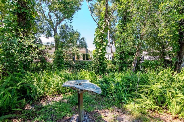 23924 Forest Pl, Land O Lakes, FL 34639 - photo 45