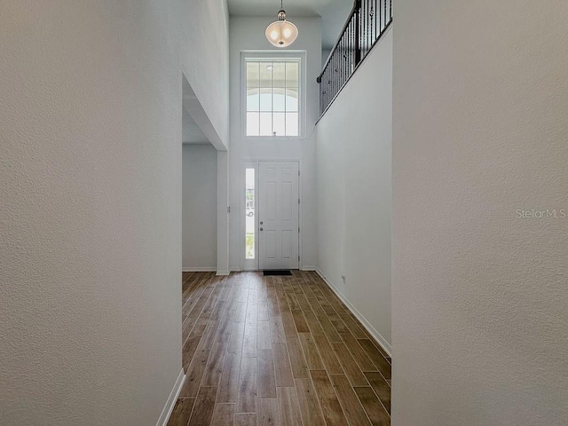 38120 Shale Stone Ct, Zephyrhills, FL 33540 - entryway featuring a high ceiling, dark wood-style flooring, and a textured wall