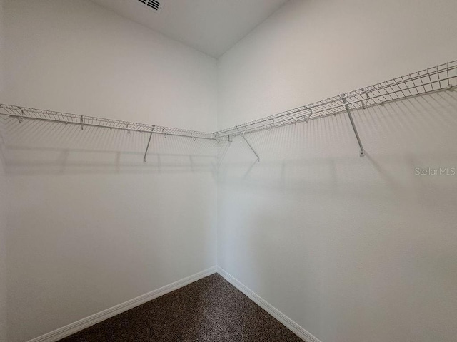 38120 Shale Stone Ct, Zephyrhills, FL 33540 - spacious closet with dark carpet