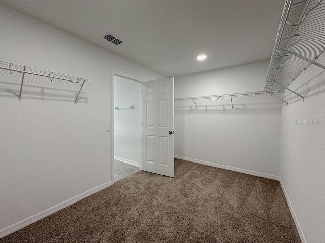 38120 Shale Stone Ct, Zephyrhills, FL 33540 - walk in closet with carpet