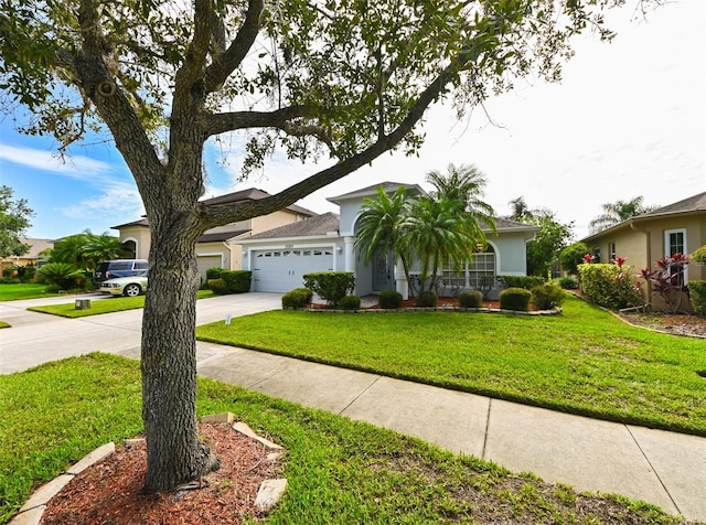 19309 Seacove Dr, Lutz, FL 33558 - photo 57