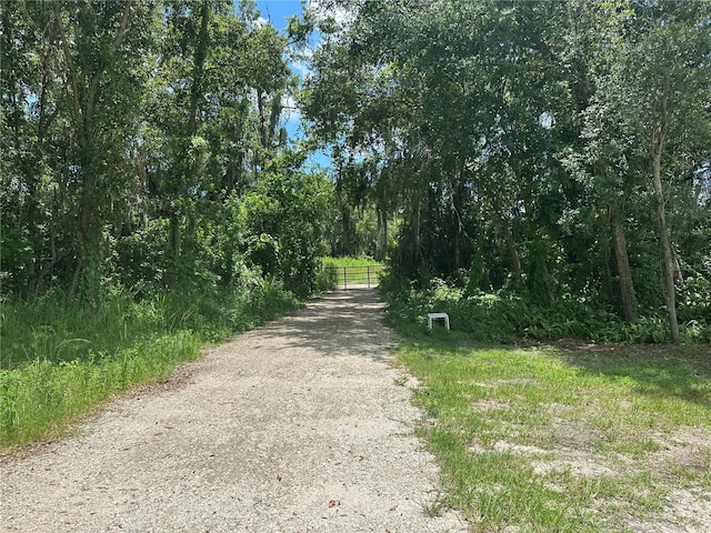 Brannen Rd W, Lakeland, FL 33813 - photo 8