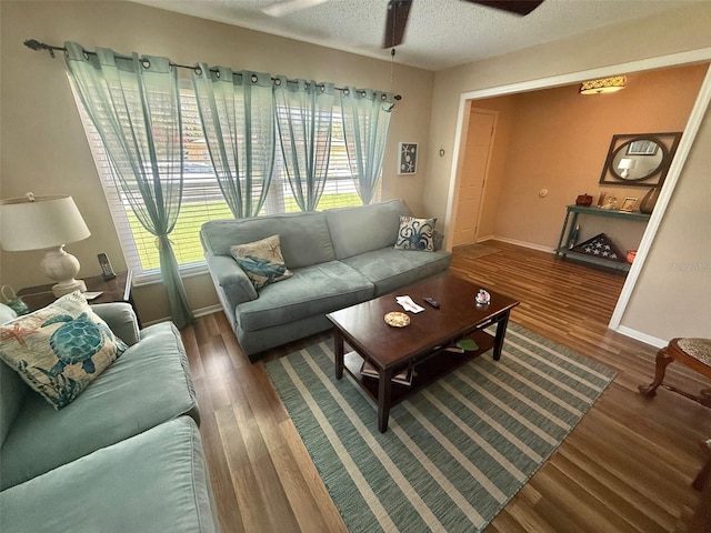 1814 Driftwood Cir S, Oldsmar, FL 34677 - living area with a ceiling fan, wood finished floors, and a textured ceiling