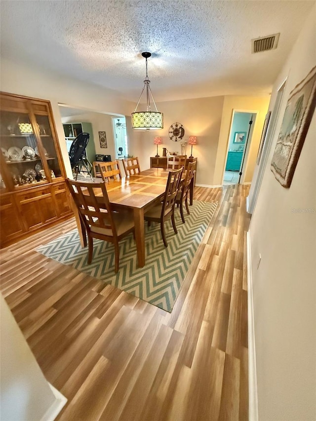 1814 Driftwood Cir S, Oldsmar, FL 34677 - dining room with light wood-style flooring and a textured ceiling