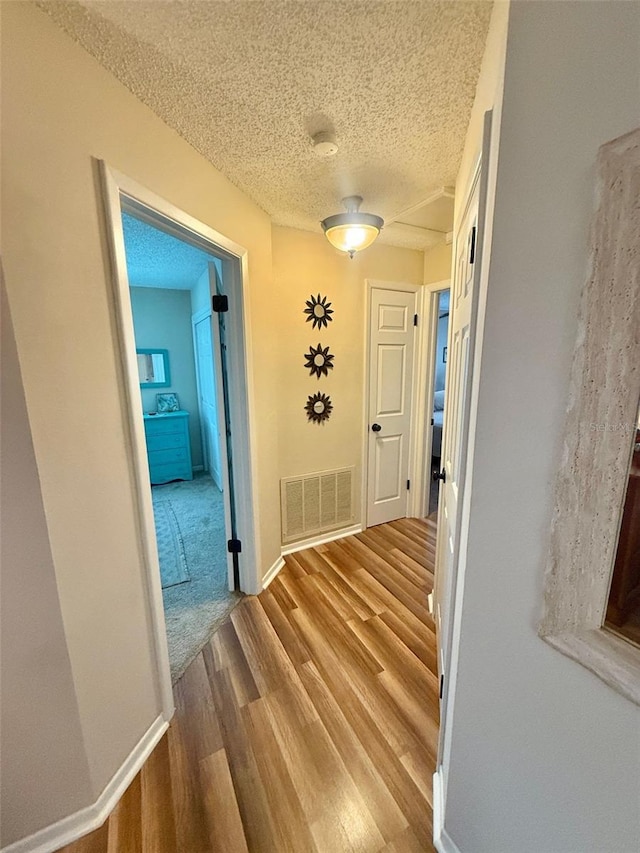 1814 Driftwood Cir S, Oldsmar, FL 34677 - hall featuring wood finished floors and a textured ceiling