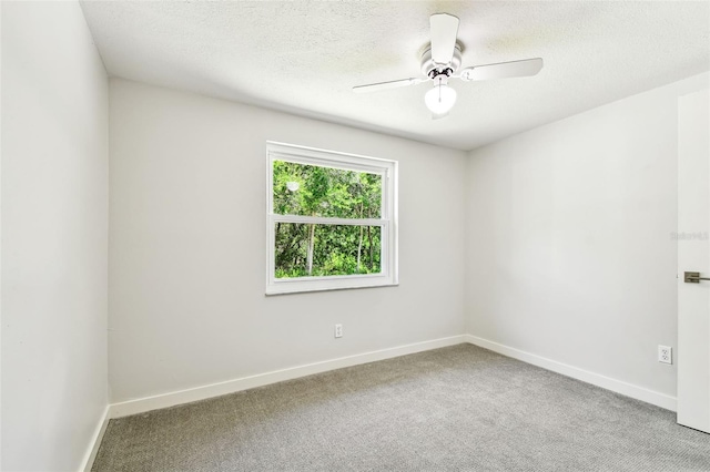 16138 Manorwood Cir, Tampa, FL 33624 - photo 17