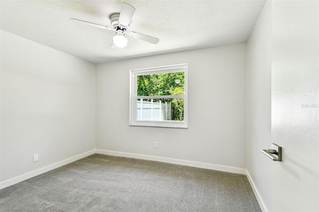 16138 Manorwood Cir, Tampa, FL 33624 - photo 24