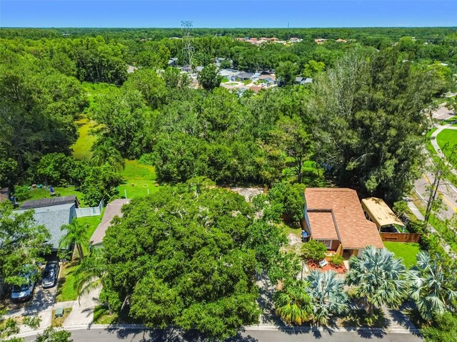 16138 Manorwood Cir, Tampa, FL 33624 - photo 32
