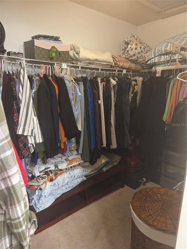 12133 Spartan Way Unit 203, Hudson, FL 34667 - spacious closet featuring carpet floors