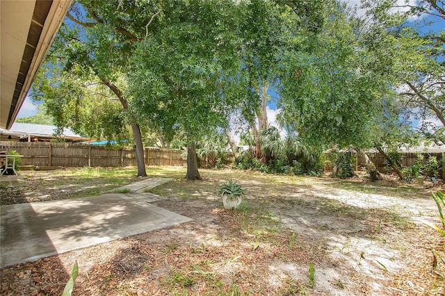 1600 Amberlea Dr N, Dunedin, FL 34698 - fenced backyard with a patio
