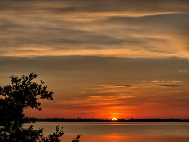 1951 Edgewater Dr, Clearwater, FL 33755 - photo 99
