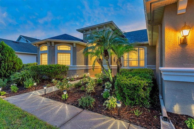 31646 Baymont Loop, Wesley Chapel, FL 33543 - view of front of property featuring stucco siding
