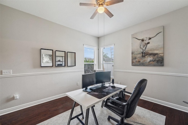 31646 Baymont Loop, Wesley Chapel, FL 33543 - office featuring wood finished floors and a ceiling fan